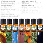 Essential Oils Set - 14 Pack