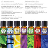 Essential Oils Set - 14 Pack